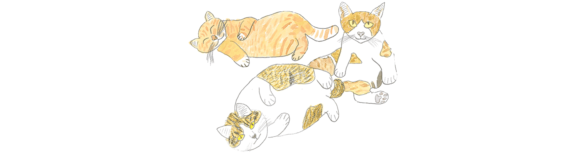 事業所案内ページメインイメージ